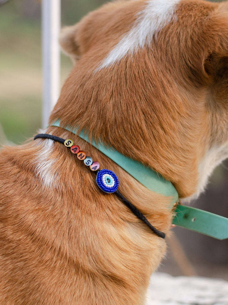 Customised Evil Eye Thread for Pets