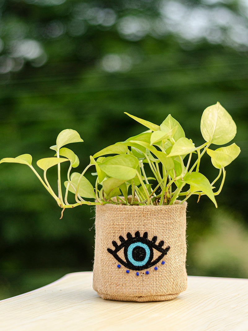 Evil Eye Boho Jute Embroidered Planter
