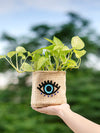 Evil Eye Boho Jute Embroidered Planter